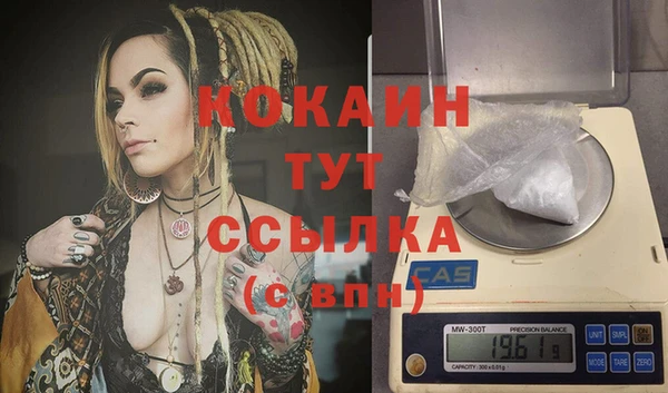 шишки Бронницы